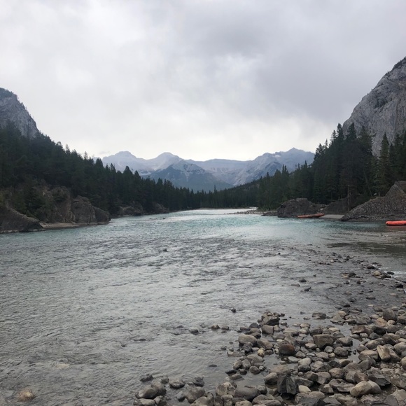 Meet your Posher, Mitchell - Picture 1 of 1